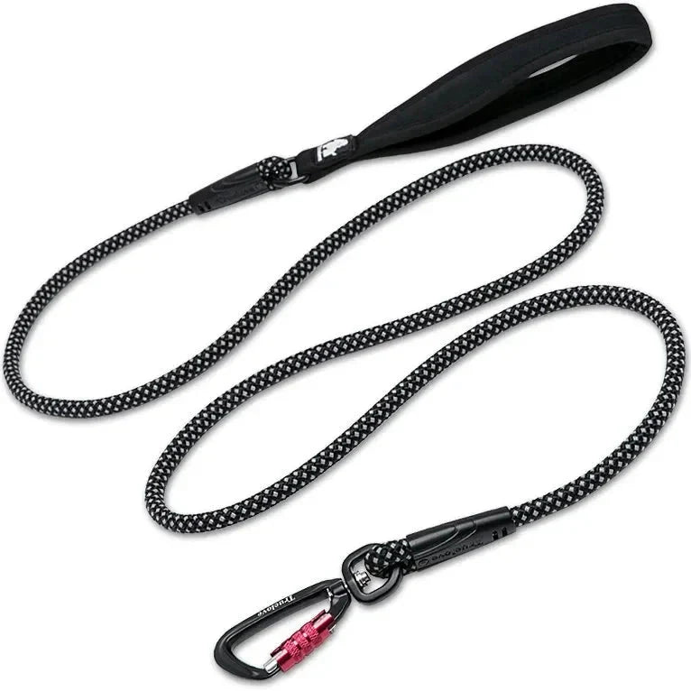 https://cdn.shopify.com/s/files/1/0647/9170/7830/files/laisse-chien-corde-escalade-6503623.webp?v=1777923491