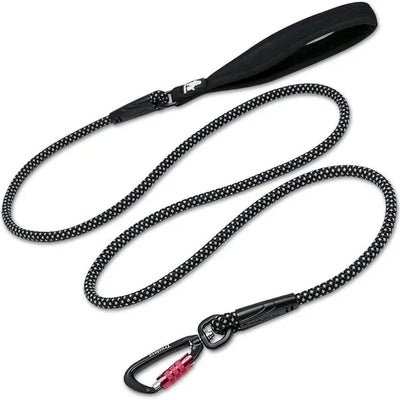https://cdn.shopify.com/s/files/1/0647/9170/7830/files/laisse-chien-corde-escalade-6503623.webp?v=1777923491