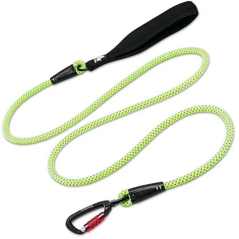 https://cdn.shopify.com/s/files/1/0647/9170/7830/files/laisse-chien-corde-escalade-6503623.webp?v=1777923491