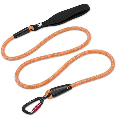 https://cdn.shopify.com/s/files/1/0647/9170/7830/files/laisse-chien-corde-escalade-9758954.webp?v=1777923492