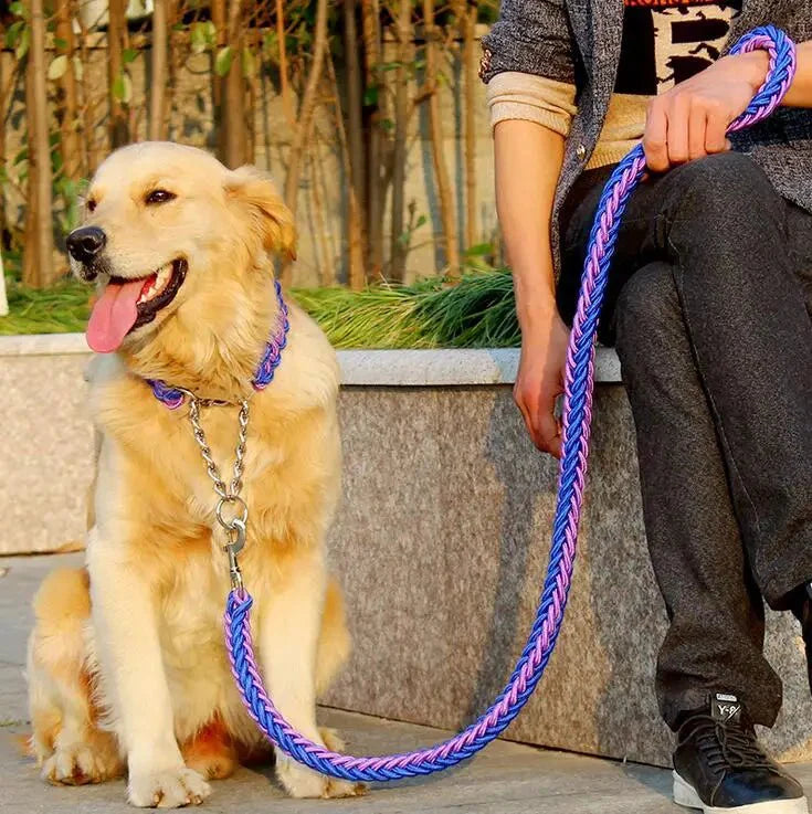 https://cdn.shopify.com/s/files/1/0647/9170/7830/files/laisse-chien-corde-tressee-4448752.webp?v=1777923674