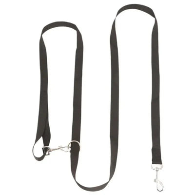 https://cdn.shopify.com/s/files/1/0647/9170/7830/files/laisse-chien-lasso-8413635.webp?v=1777924508