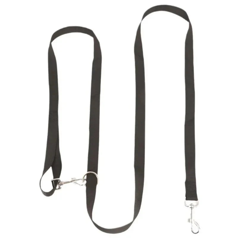 https://cdn.shopify.com/s/files/1/0647/9170/7830/files/laisse-chien-lasso-7377706.webp?v=1777924509