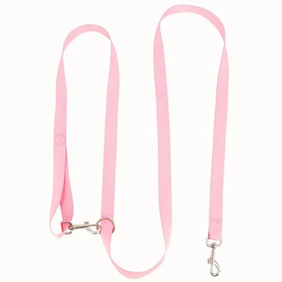 https://cdn.shopify.com/s/files/1/0647/9170/7830/files/laisse-chien-lasso-9997604.webp?v=1777924509