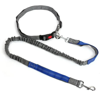 https://cdn.shopify.com/s/files/1/0647/9170/7830/files/laisse-chien-pour-jogging-1063354.webp?v=1777923737