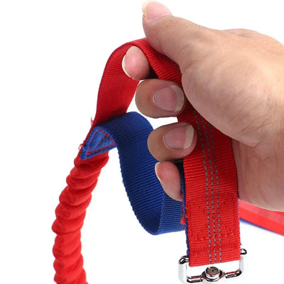 https://cdn.shopify.com/s/files/1/0647/9170/7830/files/laisse-chien-pour-jogging-1763353.webp?v=1777923737
