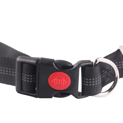 https://cdn.shopify.com/s/files/1/0647/9170/7830/files/laisse-chien-pour-jogging-4149910.webp?v=1777923737