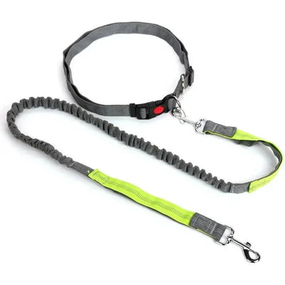 https://cdn.shopify.com/s/files/1/0647/9170/7830/files/laisse-chien-pour-jogging-5230932.webp?v=1777923737