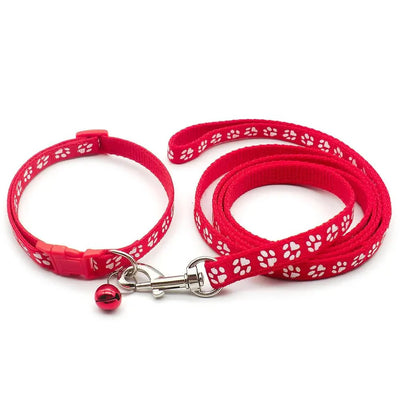 https://cdn.shopify.com/s/files/1/0647/9170/7830/files/laisse-collier-chiot-1955369.webp?v=1777923795