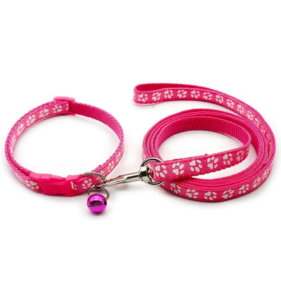 https://cdn.shopify.com/s/files/1/0647/9170/7830/files/laisse-collier-chiot-3307833.webp?v=1777923797