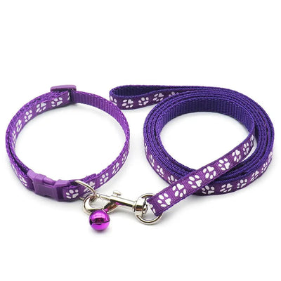 https://cdn.shopify.com/s/files/1/0647/9170/7830/files/laisse-collier-chiot-3442992.webp?v=1777923795