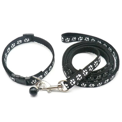 https://cdn.shopify.com/s/files/1/0647/9170/7830/files/laisse-collier-chiot-3841806.webp?v=1777923796