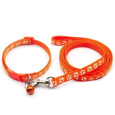 https://cdn.shopify.com/s/files/1/0647/9170/7830/files/laisse-collier-chiot-5301759.webp?v=1777923796
