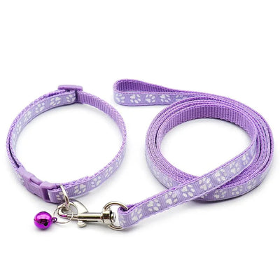 https://cdn.shopify.com/s/files/1/0647/9170/7830/files/laisse-collier-chiot-5962030.webp?v=1777923796