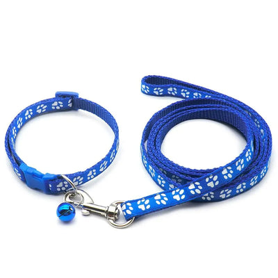 https://cdn.shopify.com/s/files/1/0647/9170/7830/files/laisse-collier-chiot-6069975.webp?v=1777924988
