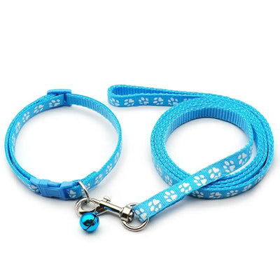 https://cdn.shopify.com/s/files/1/0647/9170/7830/files/laisse-collier-chiot-6433781.webp?v=1777923796