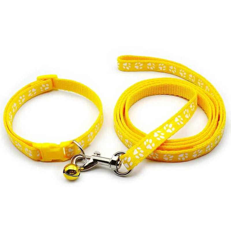 https://cdn.shopify.com/s/files/1/0647/9170/7830/files/laisse-collier-chiot-7216776.webp?v=1777924987