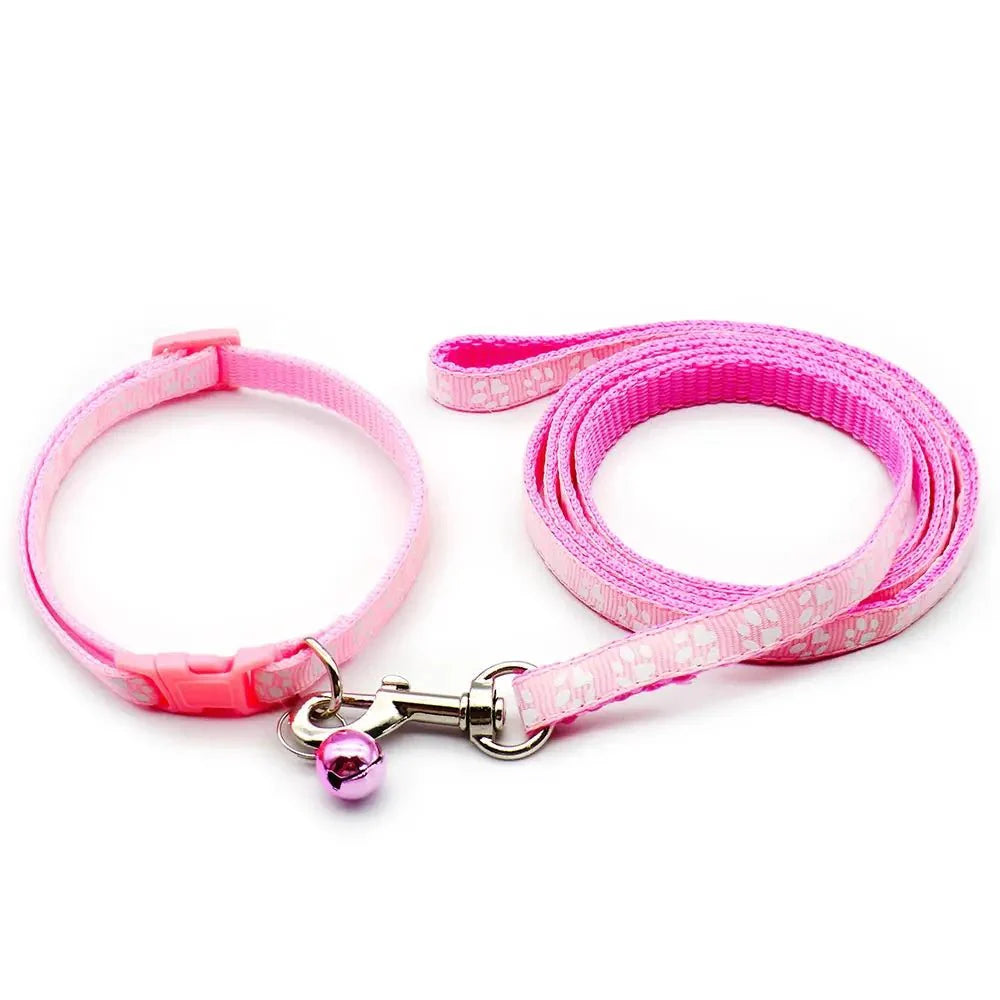 https://cdn.shopify.com/s/files/1/0647/9170/7830/files/laisse-collier-chiot-7216776.webp?v=1777924987