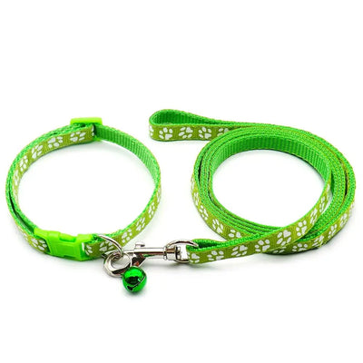 https://cdn.shopify.com/s/files/1/0647/9170/7830/files/laisse-collier-chiot-7780319.webp?v=1777923797