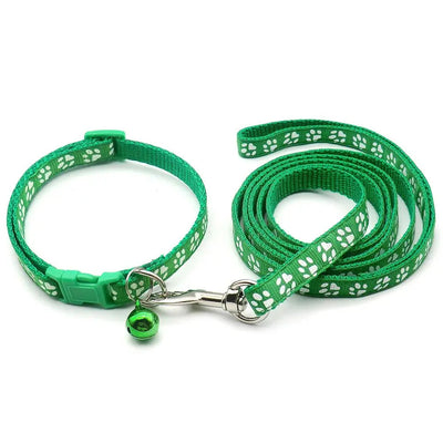 https://cdn.shopify.com/s/files/1/0647/9170/7830/files/laisse-collier-chiot-9414495.webp?v=1777923797