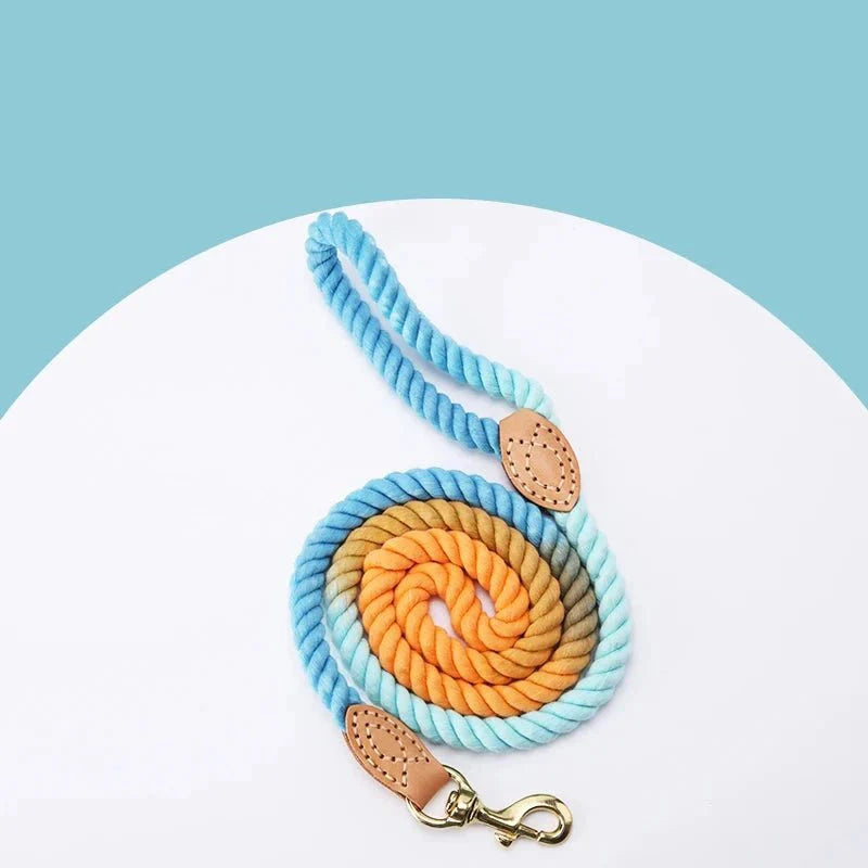 https://cdn.shopify.com/s/files/1/0647/9170/7830/files/laisse-corde-colore-pour-chien-4002321.webp?v=1777924571