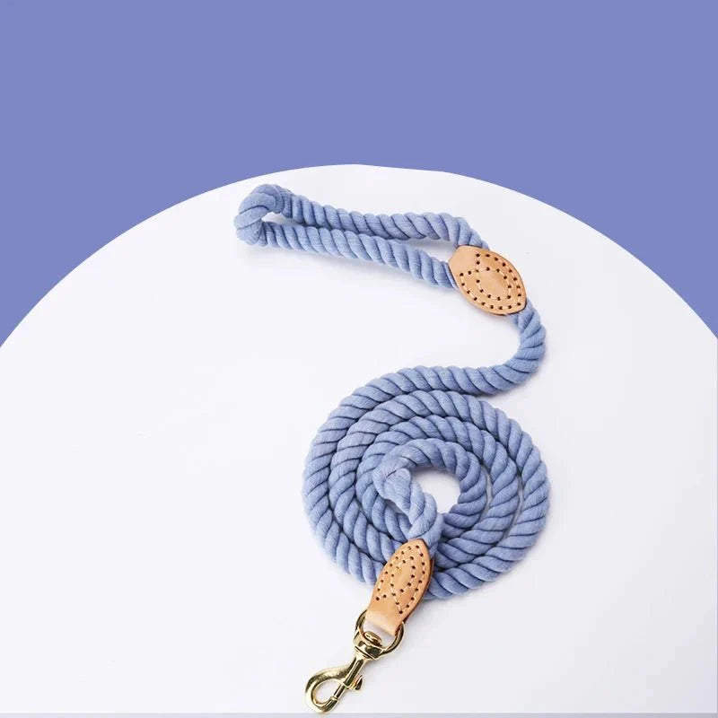 https://cdn.shopify.com/s/files/1/0647/9170/7830/files/laisse-corde-colore-pour-chien-4002321.webp?v=1777924571