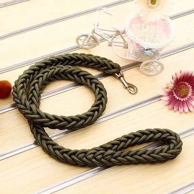 https://cdn.shopify.com/s/files/1/0647/9170/7830/files/laisse-corde-gros-chien-1812855.webp?v=1777923559