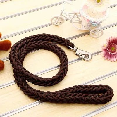 https://cdn.shopify.com/s/files/1/0647/9170/7830/files/laisse-corde-gros-chien-2513234.webp?v=1777924146