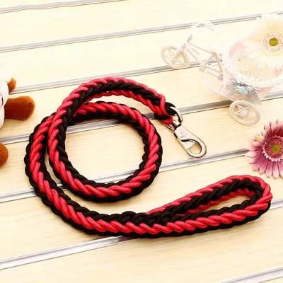 https://cdn.shopify.com/s/files/1/0647/9170/7830/files/laisse-corde-gros-chien-3126168.webp?v=1777923558