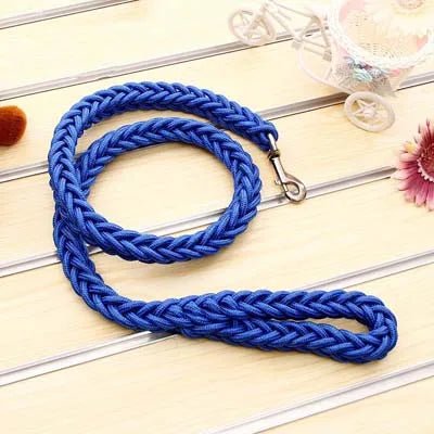 https://cdn.shopify.com/s/files/1/0647/9170/7830/files/laisse-corde-gros-chien-3205720.webp?v=1777923557