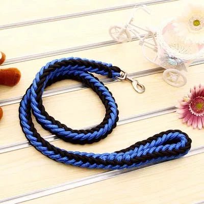 https://cdn.shopify.com/s/files/1/0647/9170/7830/files/laisse-corde-gros-chien-5268104.webp?v=1777923558