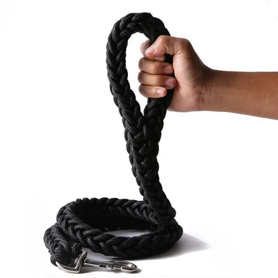 https://cdn.shopify.com/s/files/1/0647/9170/7830/files/laisse-corde-gros-chien-8705233.webp?v=1777923559