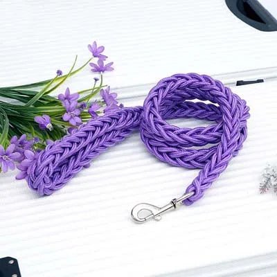 https://cdn.shopify.com/s/files/1/0647/9170/7830/files/laisse-corde-gros-chien-9518247.webp?v=1777923560