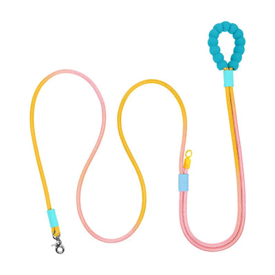 https://cdn.shopify.com/s/files/1/0647/9170/7830/files/laisse-corde-pour-chien-3m-1318473.webp?v=1777923253