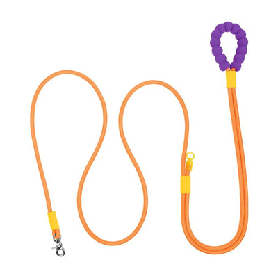 https://cdn.shopify.com/s/files/1/0647/9170/7830/files/laisse-corde-pour-chien-3m-5242475.webp?v=1777923253