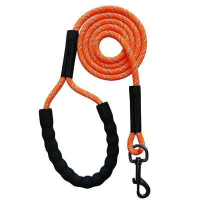 https://cdn.shopify.com/s/files/1/0647/9170/7830/files/laisse-corde-pour-chien-5164059.webp?v=1777924387