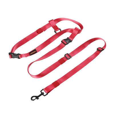 https://cdn.shopify.com/s/files/1/0647/9170/7830/files/laisse-de-ceinture-harnais-canicross-4705630.webp?v=1777924216