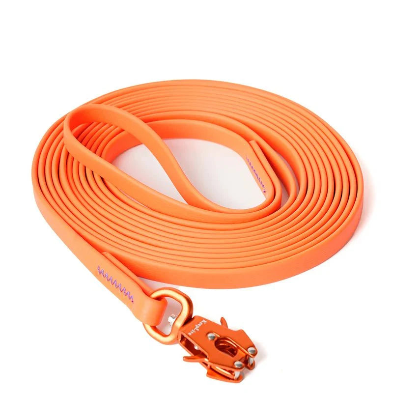 https://cdn.shopify.com/s/files/1/0647/9170/7830/files/laisse-de-dressage-pour-chien-1376238.webp?v=1777923495