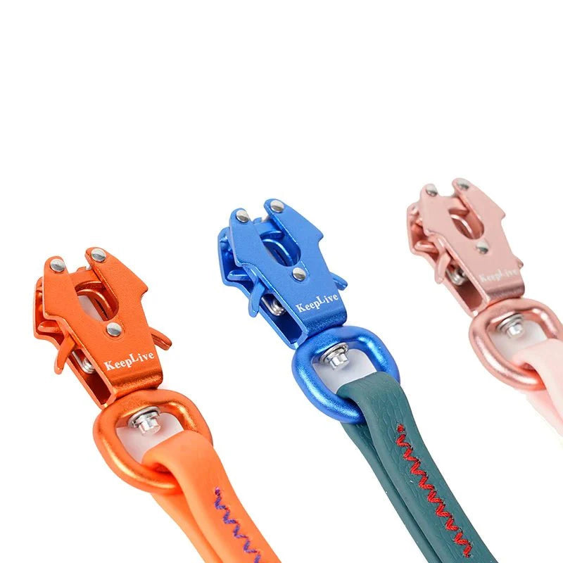 https://cdn.shopify.com/s/files/1/0647/9170/7830/files/laisse-de-dressage-pour-chien-1376238.webp?v=1777923495