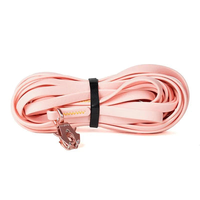 https://cdn.shopify.com/s/files/1/0647/9170/7830/files/laisse-de-dressage-pour-chien-6295845.webp?v=1777923496