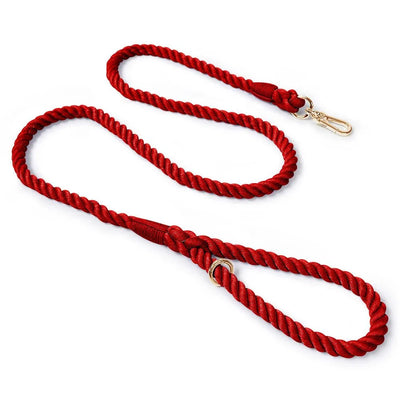 https://cdn.shopify.com/s/files/1/0647/9170/7830/files/laisse-de-presentation-pour-chien-1393810.webp?v=1777923793