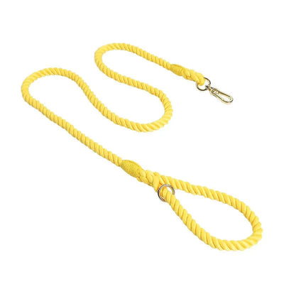https://cdn.shopify.com/s/files/1/0647/9170/7830/files/laisse-de-presentation-pour-chien-2013824.webp?v=1777923793