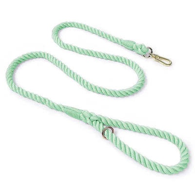 https://cdn.shopify.com/s/files/1/0647/9170/7830/files/laisse-de-presentation-pour-chien-2183716.webp?v=1777923556