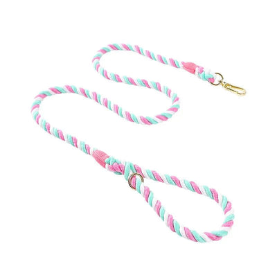 https://cdn.shopify.com/s/files/1/0647/9170/7830/files/laisse-de-presentation-pour-chien-2356555.webp?v=1777923794