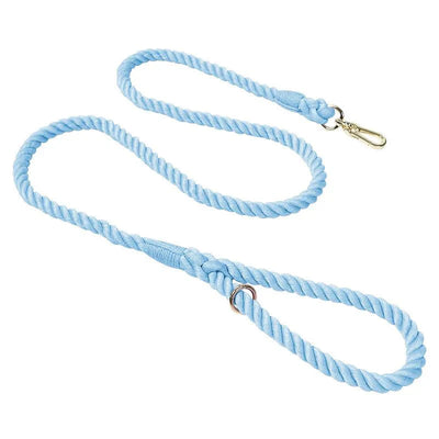 https://cdn.shopify.com/s/files/1/0647/9170/7830/files/laisse-de-presentation-pour-chien-4266868.webp?v=1777923557