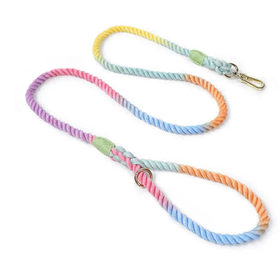 https://cdn.shopify.com/s/files/1/0647/9170/7830/files/laisse-de-presentation-pour-chien-4383952.webp?v=1777923556