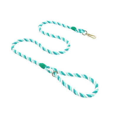 https://cdn.shopify.com/s/files/1/0647/9170/7830/files/laisse-de-presentation-pour-chien-4387031.webp?v=1777923557