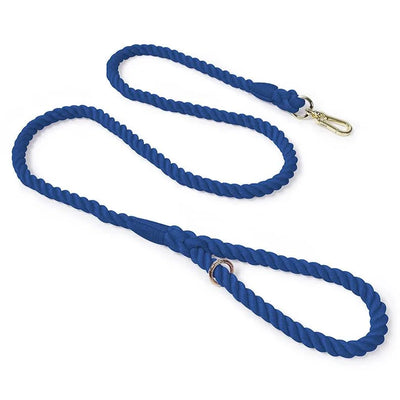 https://cdn.shopify.com/s/files/1/0647/9170/7830/files/laisse-de-presentation-pour-chien-5450765.webp?v=1777923556