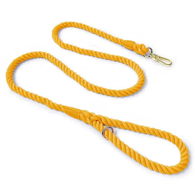 https://cdn.shopify.com/s/files/1/0647/9170/7830/files/laisse-de-presentation-pour-chien-5597782.webp?v=1777923556
