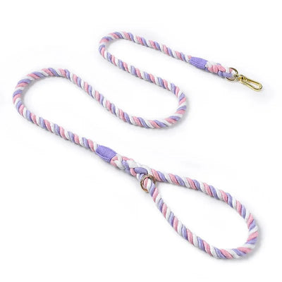 https://cdn.shopify.com/s/files/1/0647/9170/7830/files/laisse-de-presentation-pour-chien-7230434.webp?v=1777923558